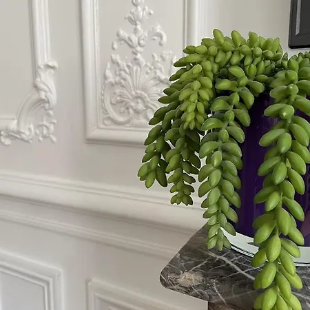 アパート Centre Du Mont-dore ル・モンドール