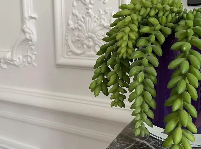 Apartman Centre Du Mont-dore Le Mont-Dore